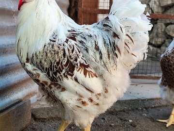 E05924C1-868E-4801-8Cc8-1F35B1C8Ef48