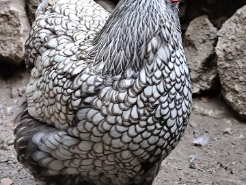 A1684Efa-Ecbb-4373-A778-7F5862B982E5