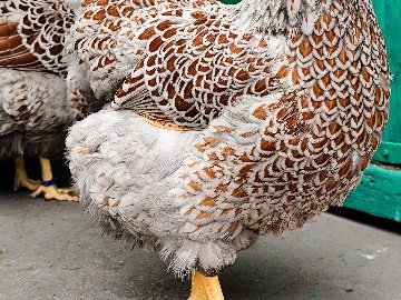 A8Aa5581-6Edb-4Ba7-80Ac-Bdaa9493Ff6B