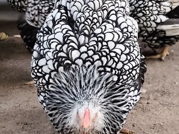 48Da6Ebc-02F1-43Da-8Bc2-4Fd14D3434A3