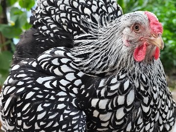 D7Ed5622-89E5-4F26-9792-Cacd52402Fbc