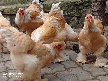 28B72195-33D2-418D-Bbb5-E1E97275E959