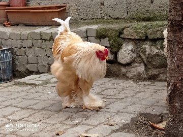 01486660-10F7-466D-B8A8-8Ff5F5A692Fe