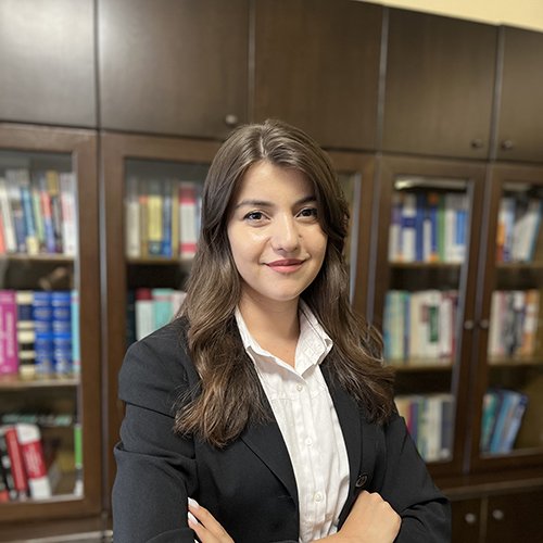 Avukat Evrim Kırdil