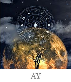 GEZEGENArtboard 2 copy