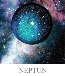 GEZEGENArtboard 2 copy 7