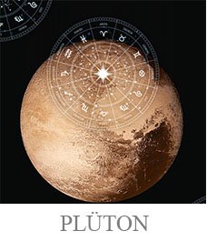 GEZEGENArtboard 2 copy 8