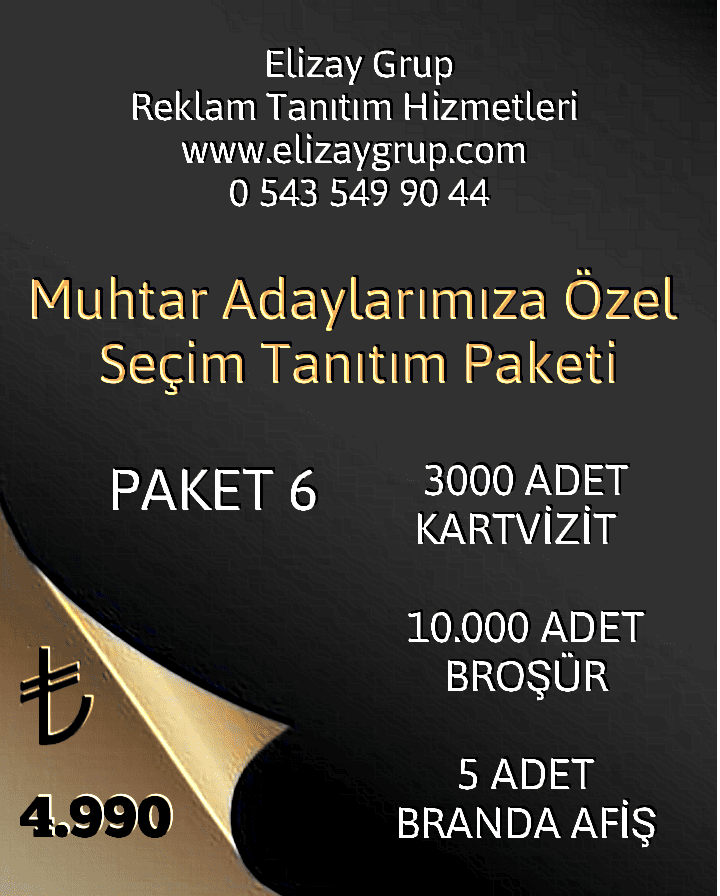 Polish_20231130_211517155