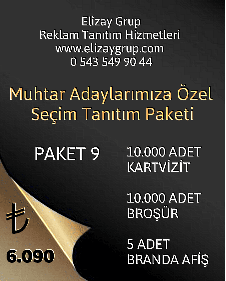 Polish_20231130_211404691