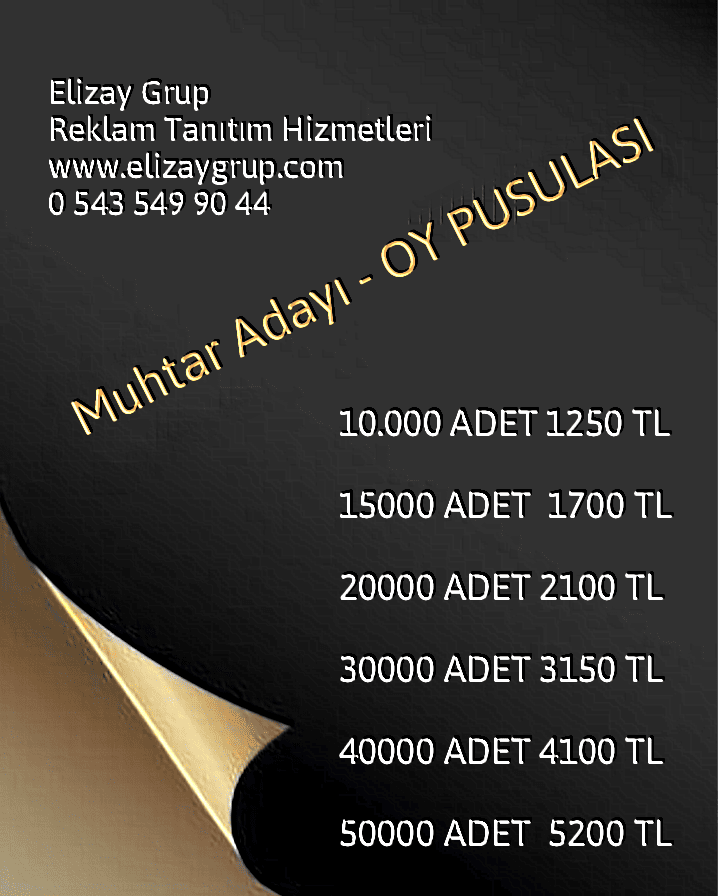 Polish_20231130_212718312