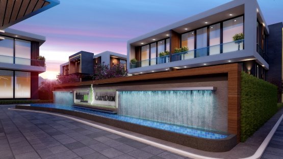 Helmann | Carpediem Projesi Faaliyette