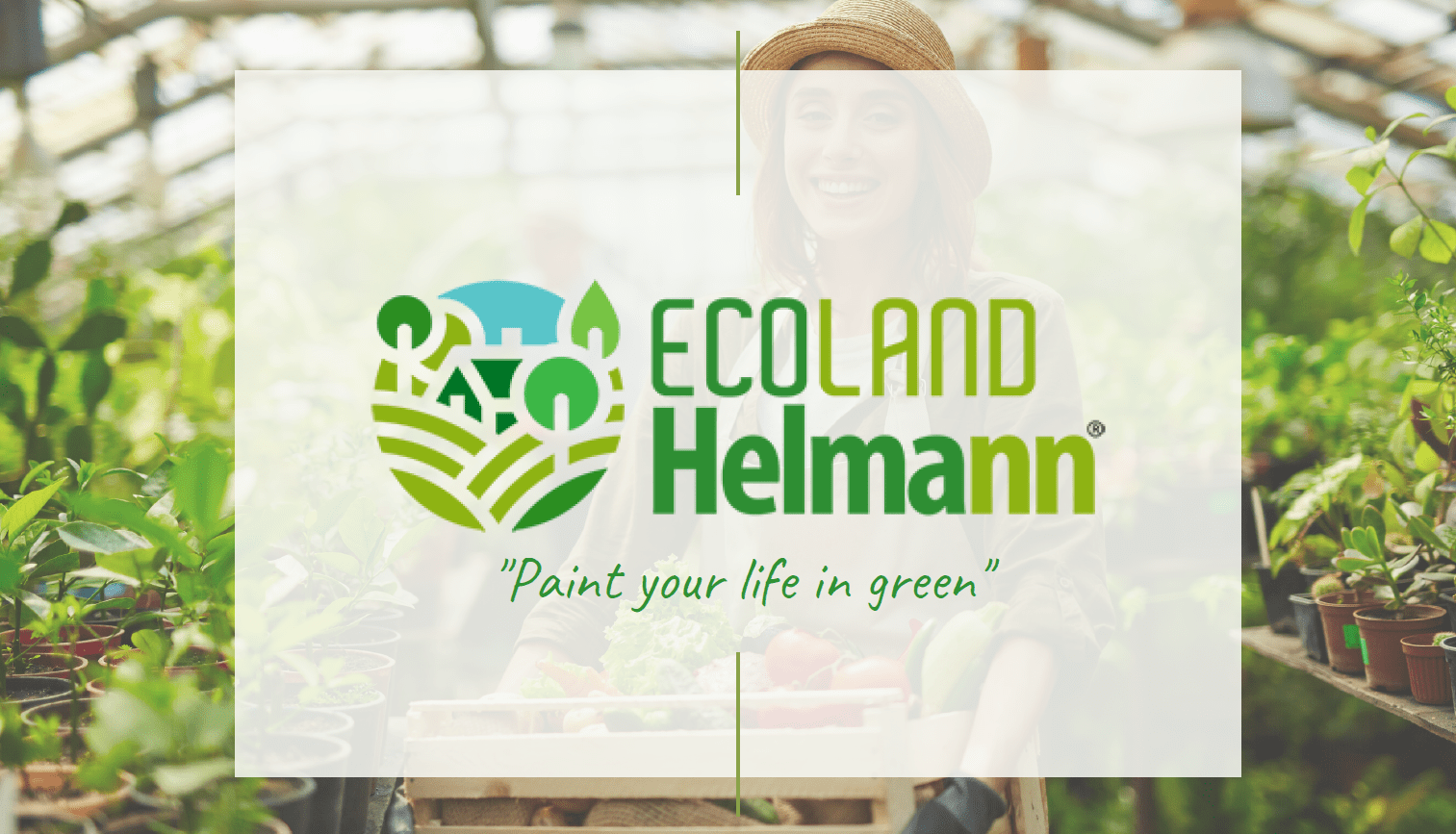 Ekran Görüntüsü 2026-01-06 184154