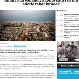 trthaber.com / Antalya'da yabancıya konut satışı 10 bin adetle rekor kıracak