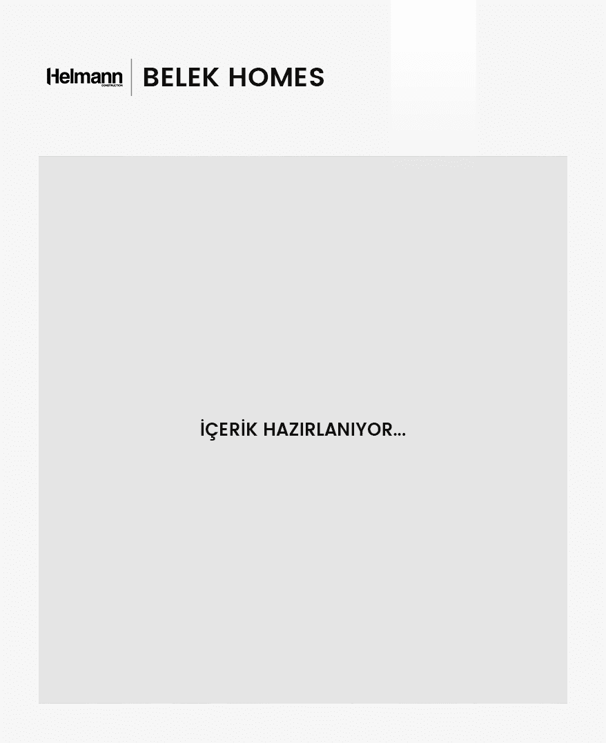 Helmann-Belek-Homes