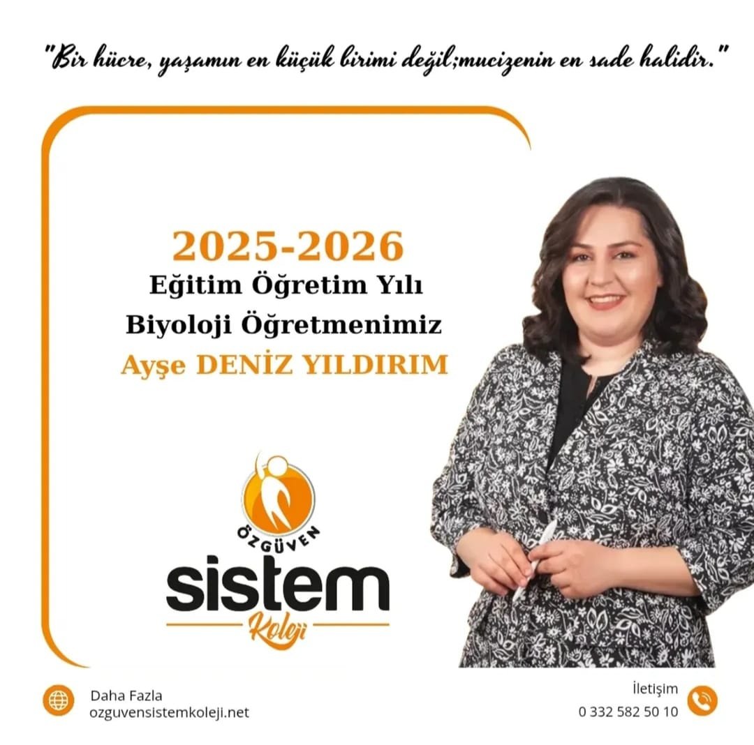 Whatsapp Image 2025-08-07 At 13.26.09 (3)