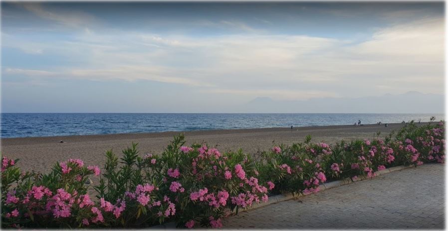 Wedding Planning Company in Antalya