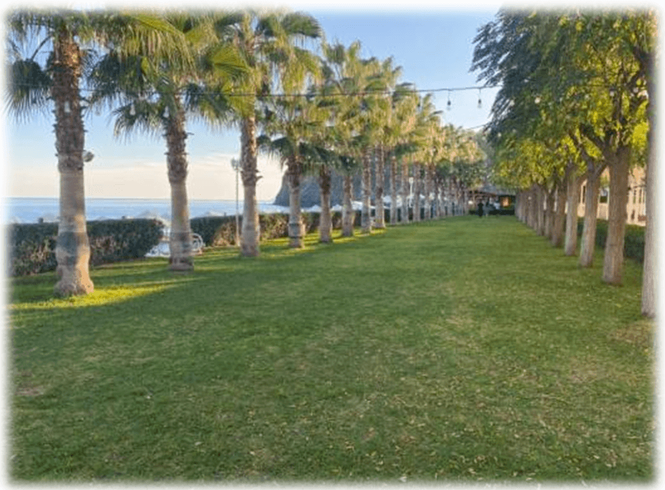 Wedding at the Hotel in Turkey