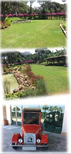Wedding Ceremony at Green Area in antalya