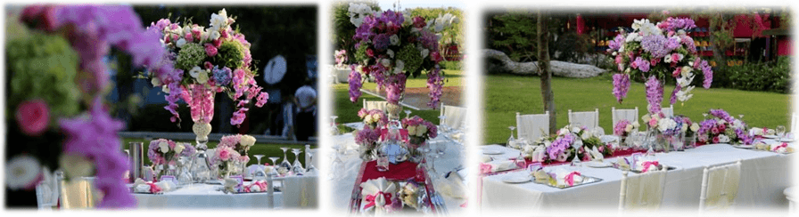 Indian Wedding designer in Turkey