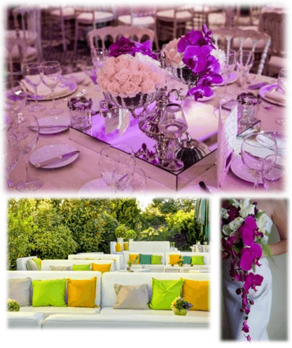 Indian Weddings in İstanbul