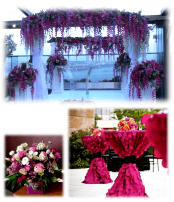 Indian Wedding Planner in İstanbul Çırağan