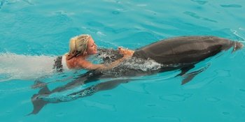 Trip Programs Wedding