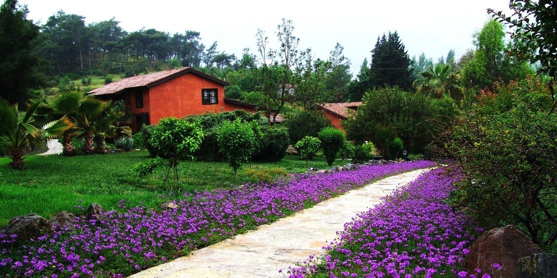 Bachelor Party in Kemer Antalya - Wedding Planner Turkey