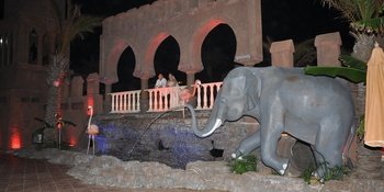 City Tours For Wedding Groups In Turkey