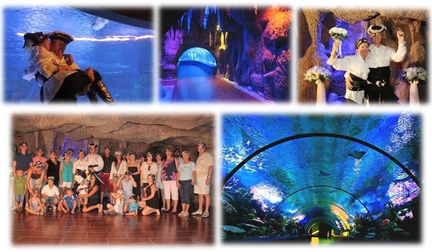 Wedding Organization In Aquarium Antalya Turkey