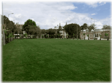 Traditional İndian Weddings in Antalya