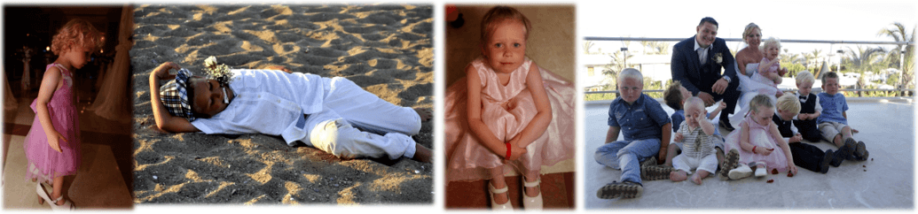 Indian wedding turkey