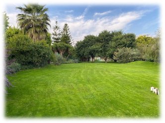 Concorde Hotel Green Field