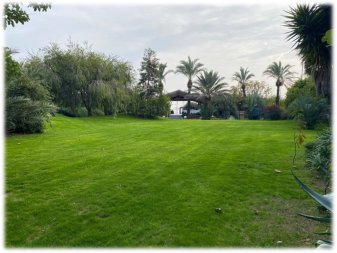 Concorde Hotel Garden