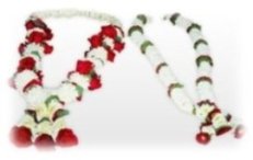 Indian Bridal Accessories