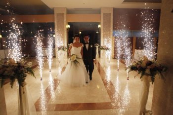 Nazanin & Reza Persian Weddings