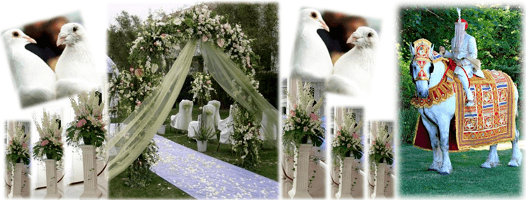 indian baraat ceremony in antalya