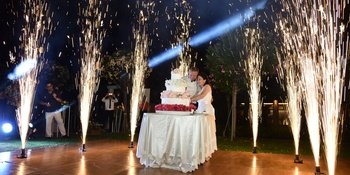 Why Choosing of the Wedding Cake is so Important?