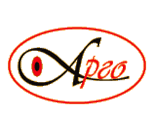 kazakhstan wedding partner (6)