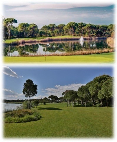 Sofreh Aghd Ceremony