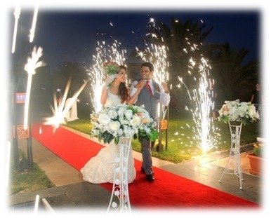 Iranian luxury wedding in Antalya