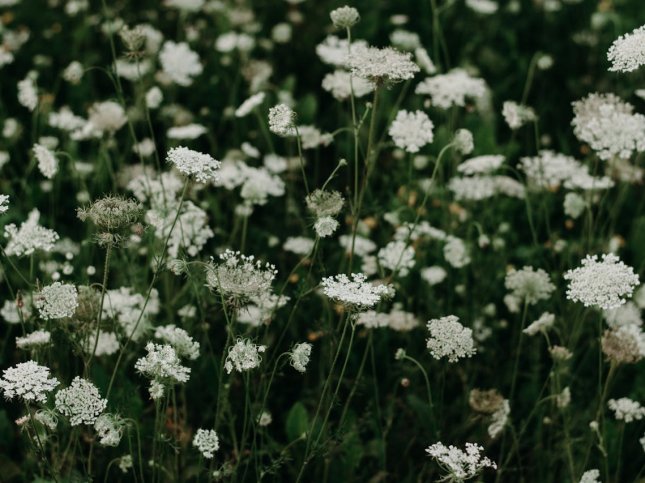Ebeveyn Tutumlarının Çocuğun Kişilik Gelişimine Etkisi