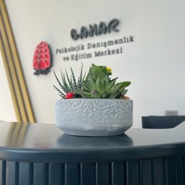 Bahar Psikolojik Danışmanlık ve Eğitim Merkezi