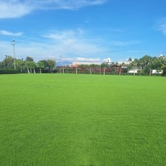 Jacaranda interior football field