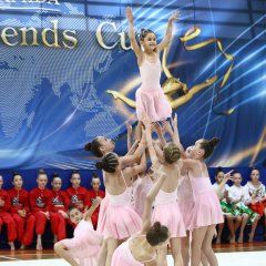 Professional gymnastics camps at SCA Sports Hall