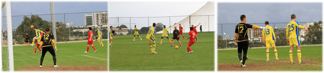 professional training fields in Turkey