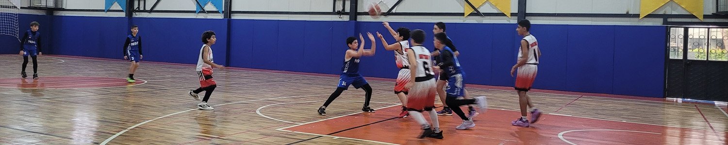 Basketball Training Camps
