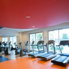 Football Fields in Lara