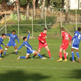 Professional sports agency for professional teams