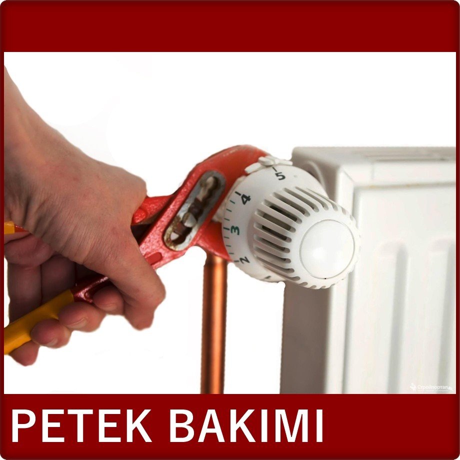 petek-bakımı