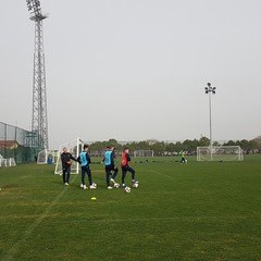 Учебно-тренировочные сборы ММА в Анталии